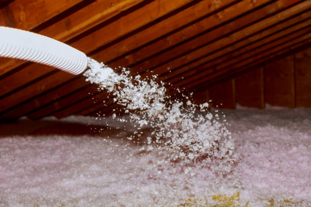 Best Insulation Inspection Services  in Sioux City, IA