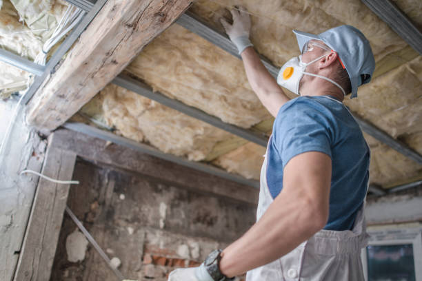 Best Professional Insulation Contractor  in Sioux City, IA