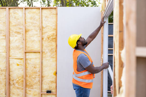 Best Local Insulation Services  in Sioux City, IA