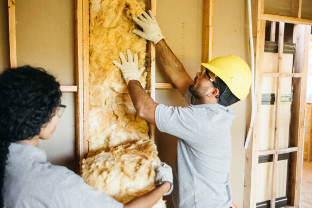 Best Soundproof Insulation Installation  in Sioux City, IA