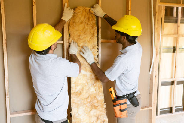 Best Insulation Removal Services  in Sioux City, IA