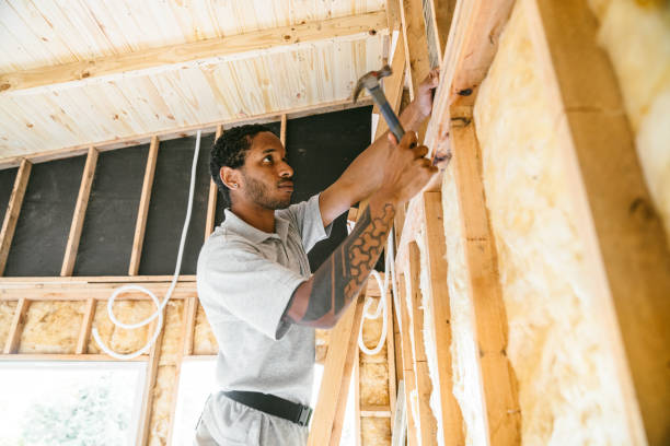 Best Energy-efficient Insulation  in Sioux City, IA