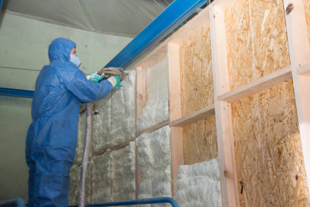 Best Attic Insulation Installation  in Sioux City, IA