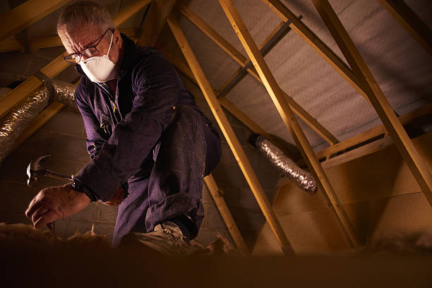 Best Insulation Contractors for Homes  in Sioux City, IA