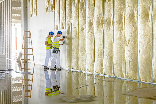 Best Crawl Space Insulation  in Sioux City, IA